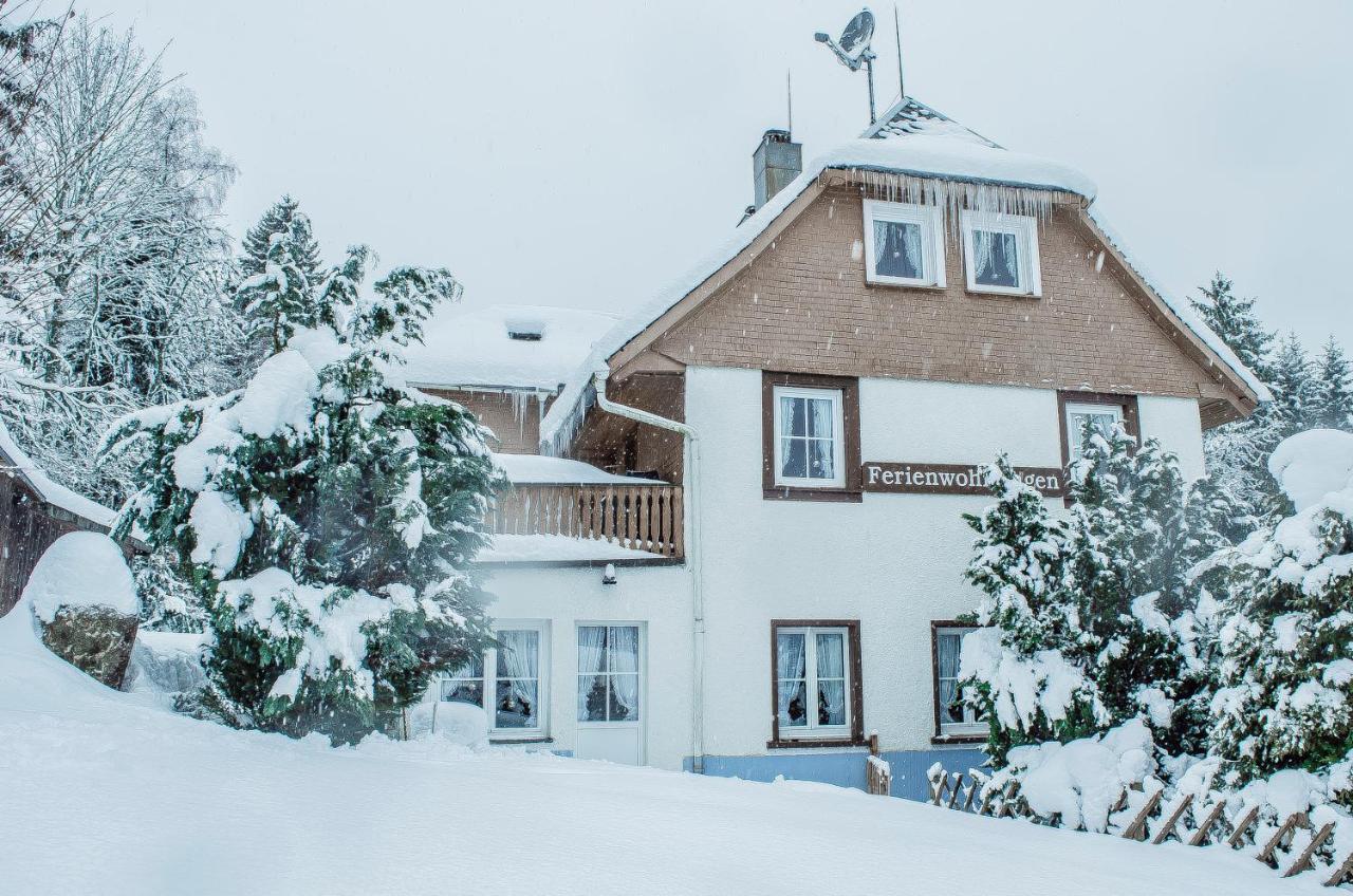 Haus Tanneck - Ferienwohnungen - Titisee - Feldberg Feldberg  Exterior photo