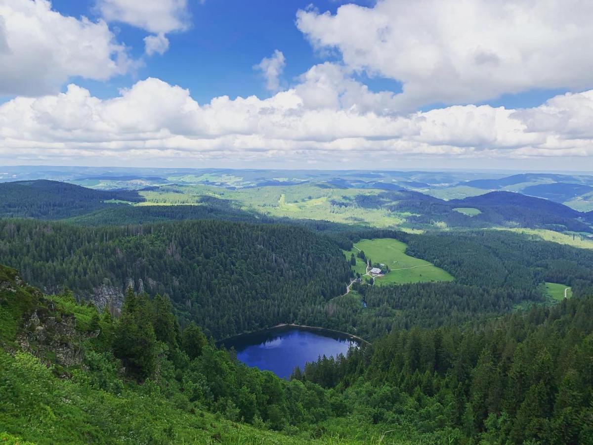 Haus Tanneck - Ferienwohnungen - Titisee - Feldberg Feldberg  Exterior photo