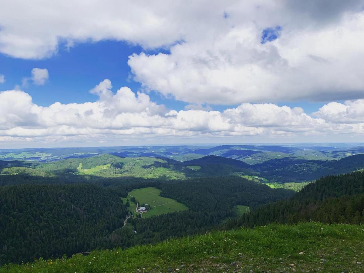 Haus Tanneck - Ferienwohnungen - Titisee - Feldberg Feldberg  Exterior photo